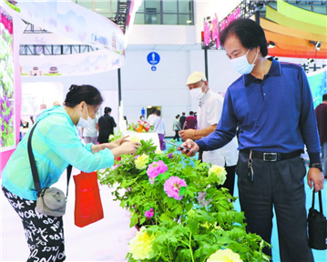 菏澤牡丹花開文旅博覽會(huì)